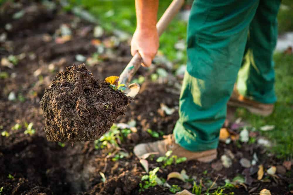 Overhaul your garden this Summer