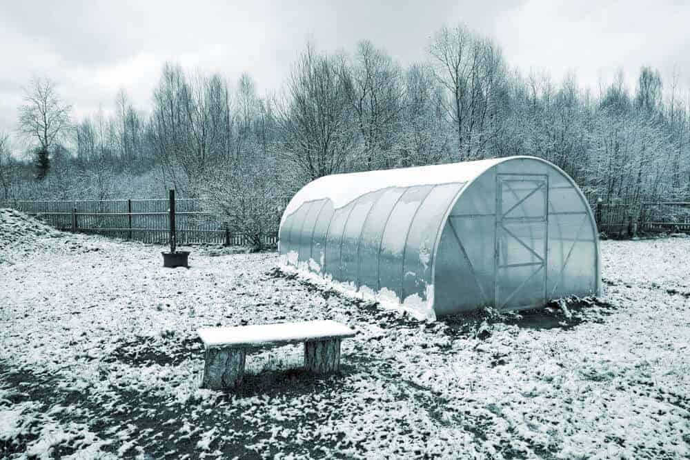 Jobs In The Garden For January