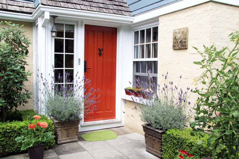 paint your front door