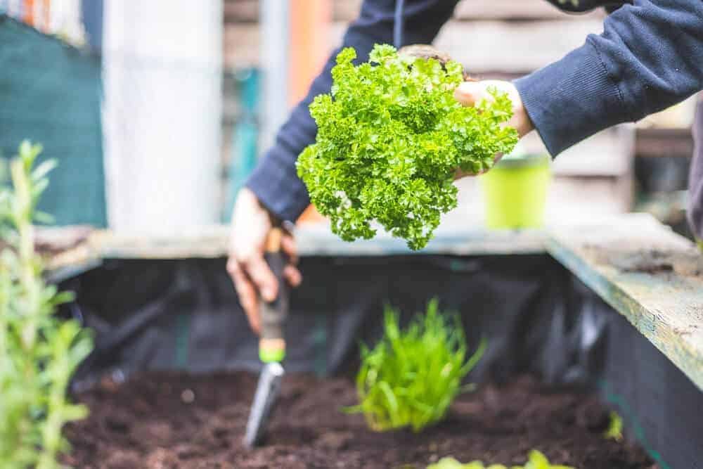 6 Simple Ways to Make Your Family Home More Eco-Friendly