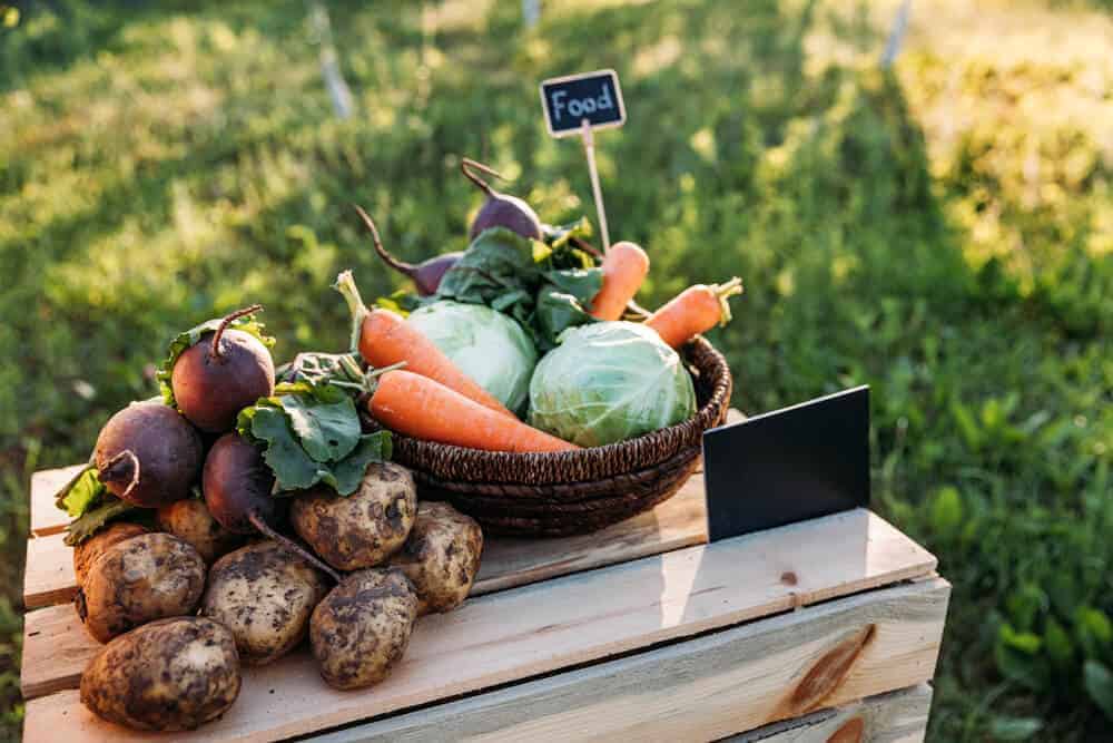 eat local - Does Your Family Eat Locally Grown? Here’s Why They Should