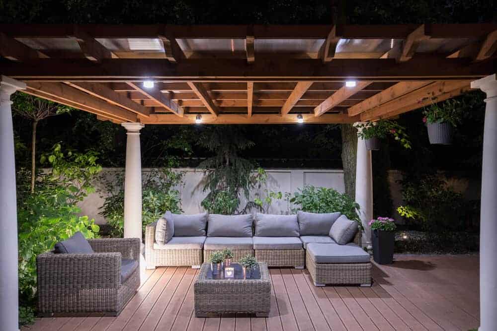 garden in the evening