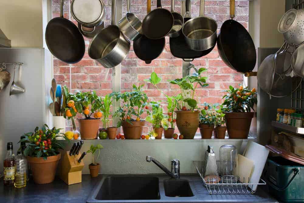 Should You Bring More of the Outdoors Inside?