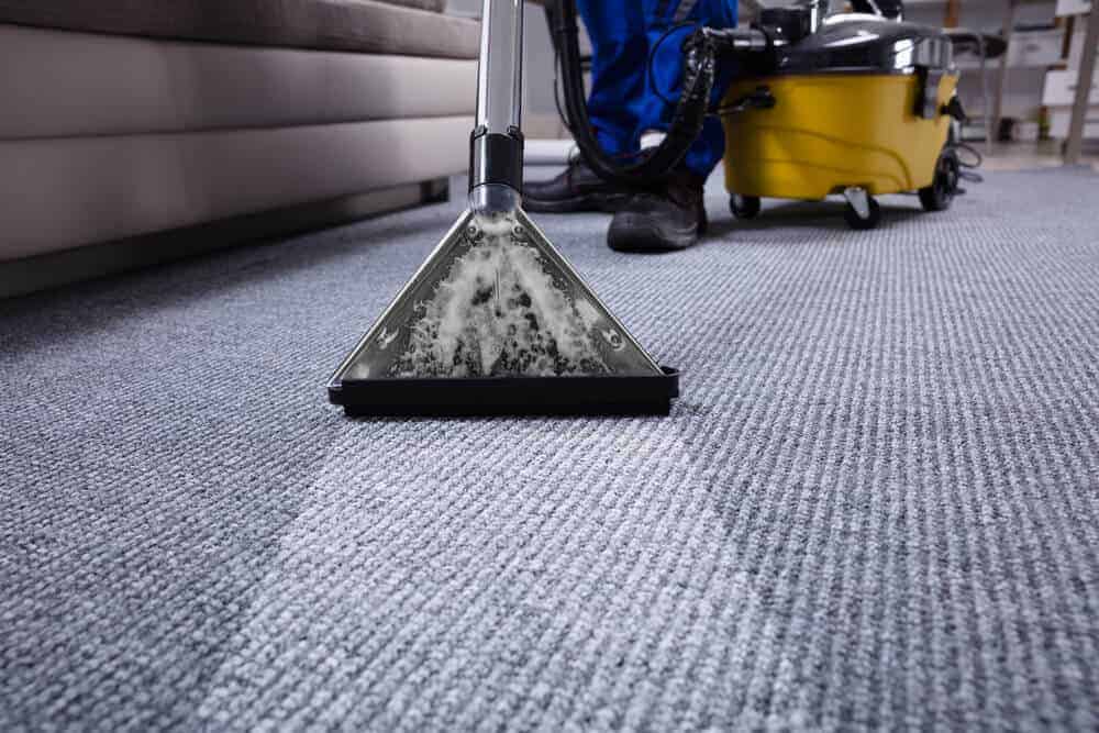 Factors to Consider Before Purchasing a Professional Carpet Cleaner