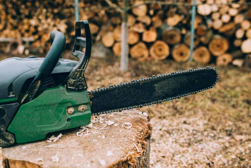 The Best Chainsaws for Every Type of Cutter