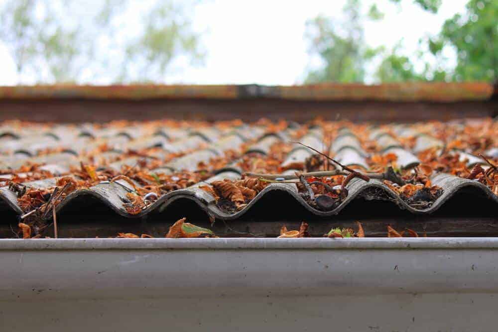 Sneaky Home Problems to Get Ahead Of