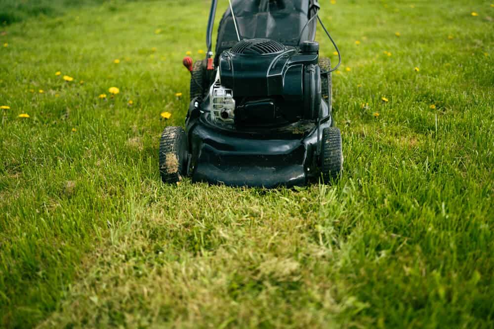 The Lawn Care Mistakes You Didn't Know You Were Making