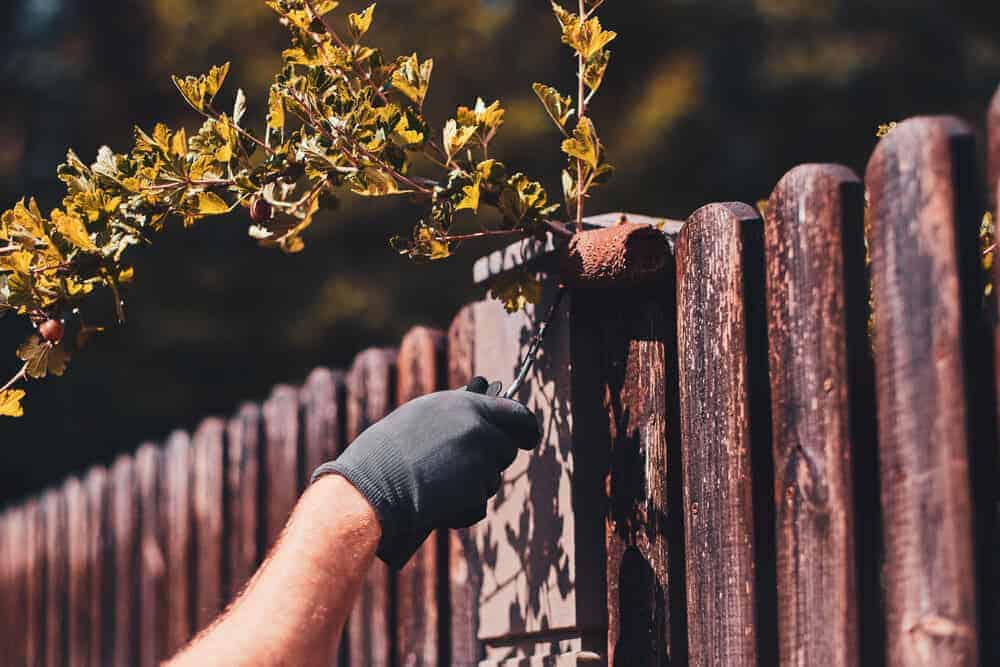 The Right Lumber For Different Outdoor Projects