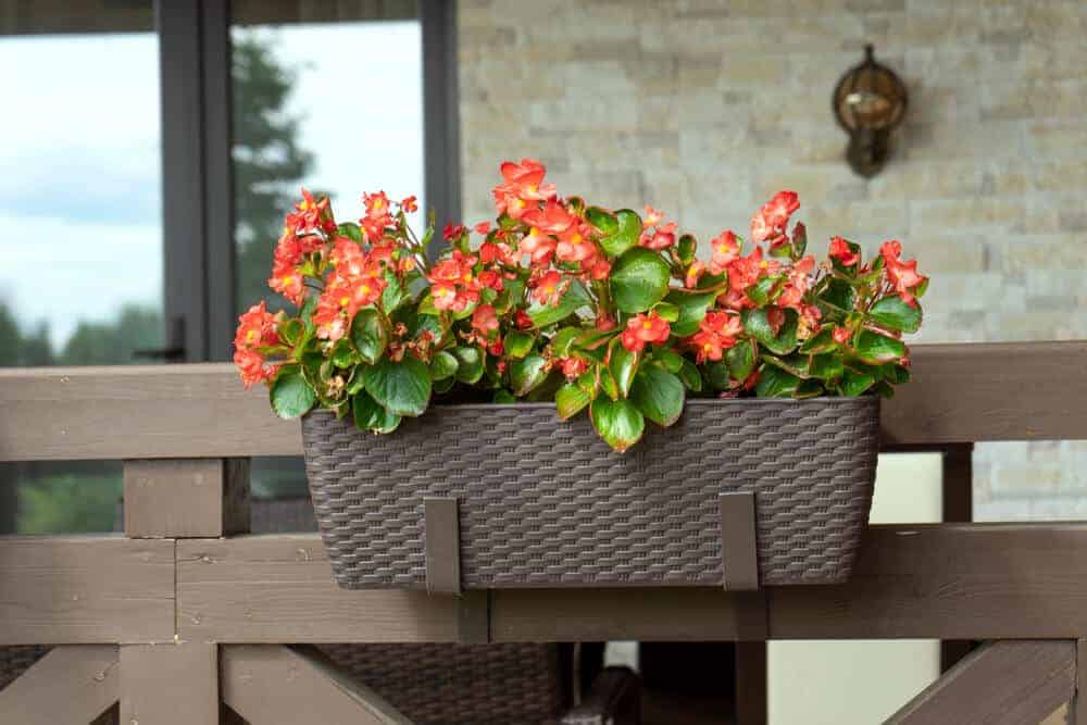 Low‑Maintenance Deck Railing Planters That Look Beautiful