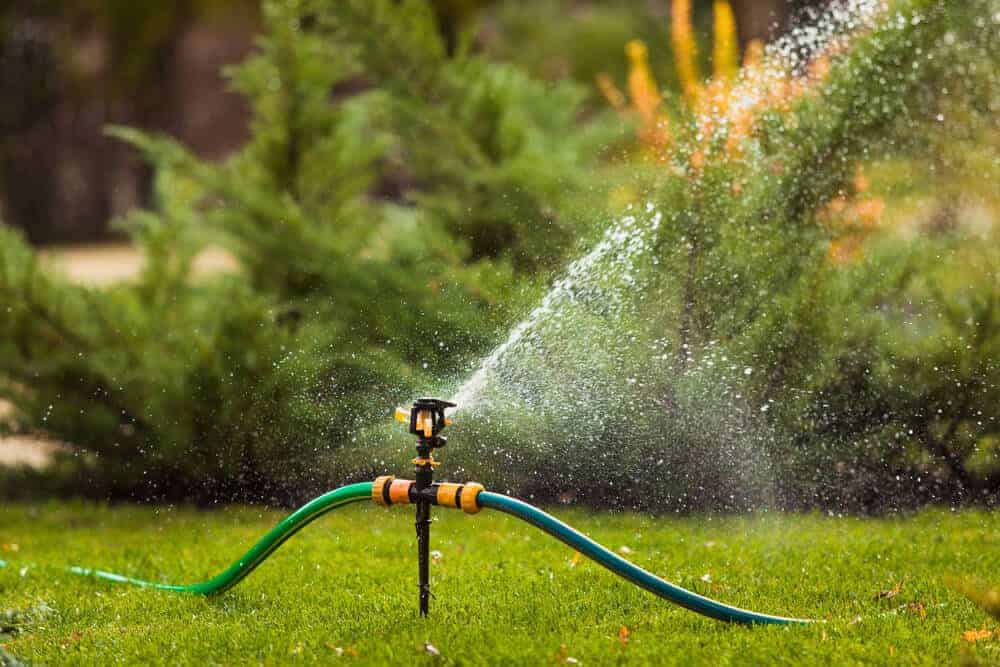 Common Irrigation Mistakes Homeowners Make and How to Avoid Them