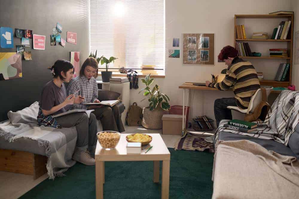 How to Create a Cozy Uni Dorm Room Space