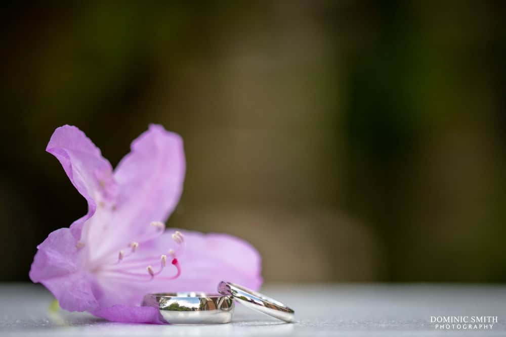 Wedding Rings Taken at The Ravenswood