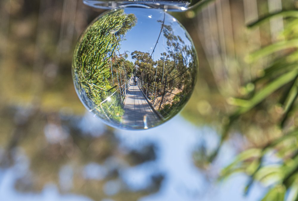 Spruce Street Suspension Bridge