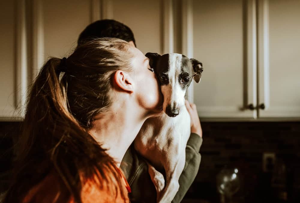  A woman kissing a small dog on the head while a man behind her is holding it.