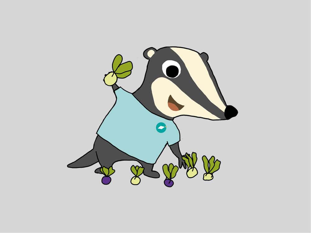 Illustration: Dachs erntet Kohlrabi