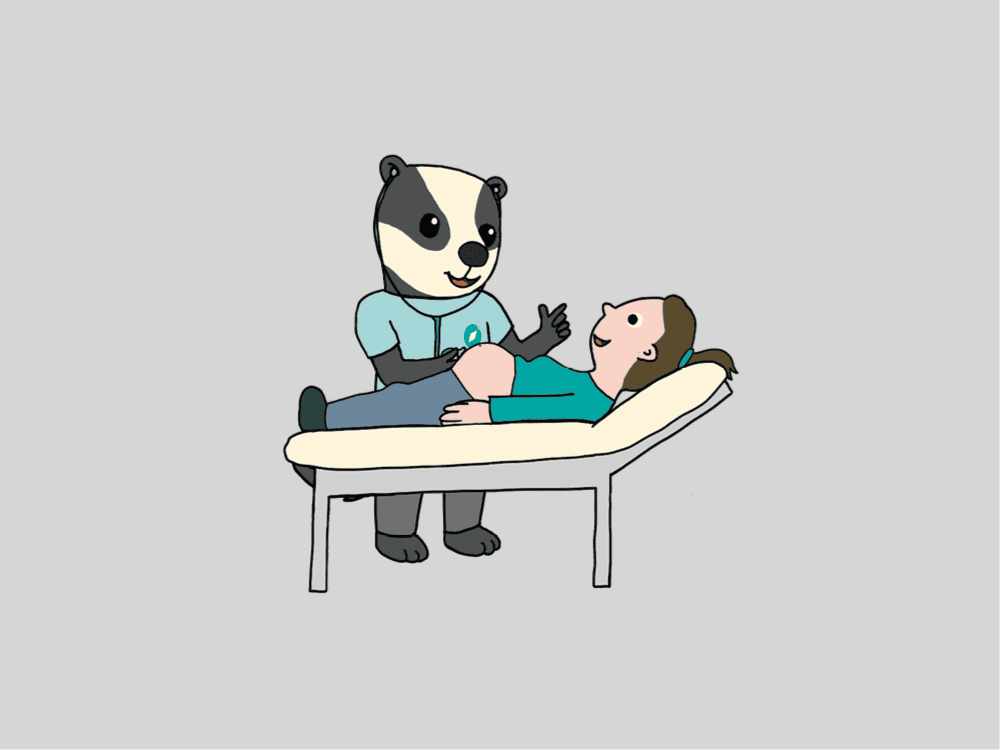 Illustration Dachs als Hebamme