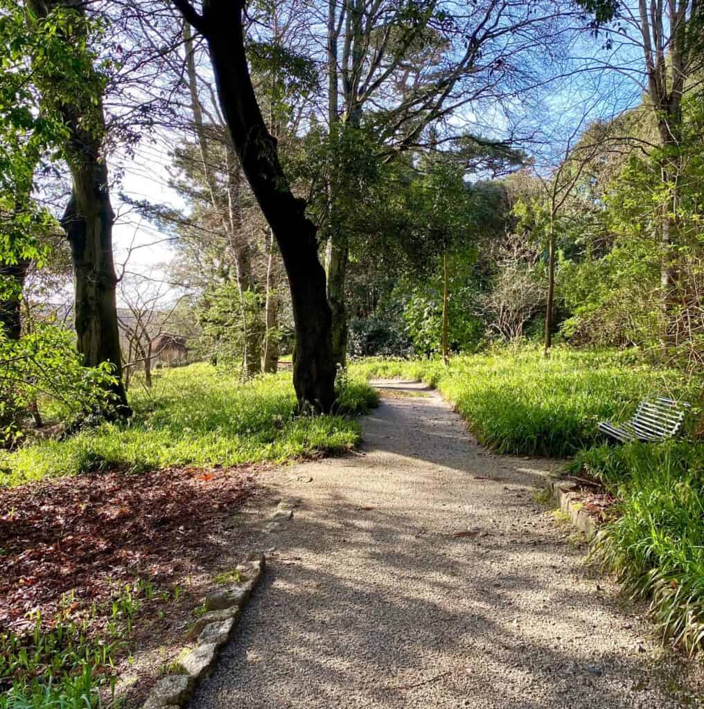 Trelissick Garden Review