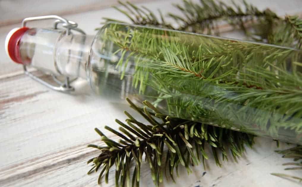 Start hunting down those pine needles! This rejuvenating pine vinegar hair rinse will be your new favorite way to condition your hair!