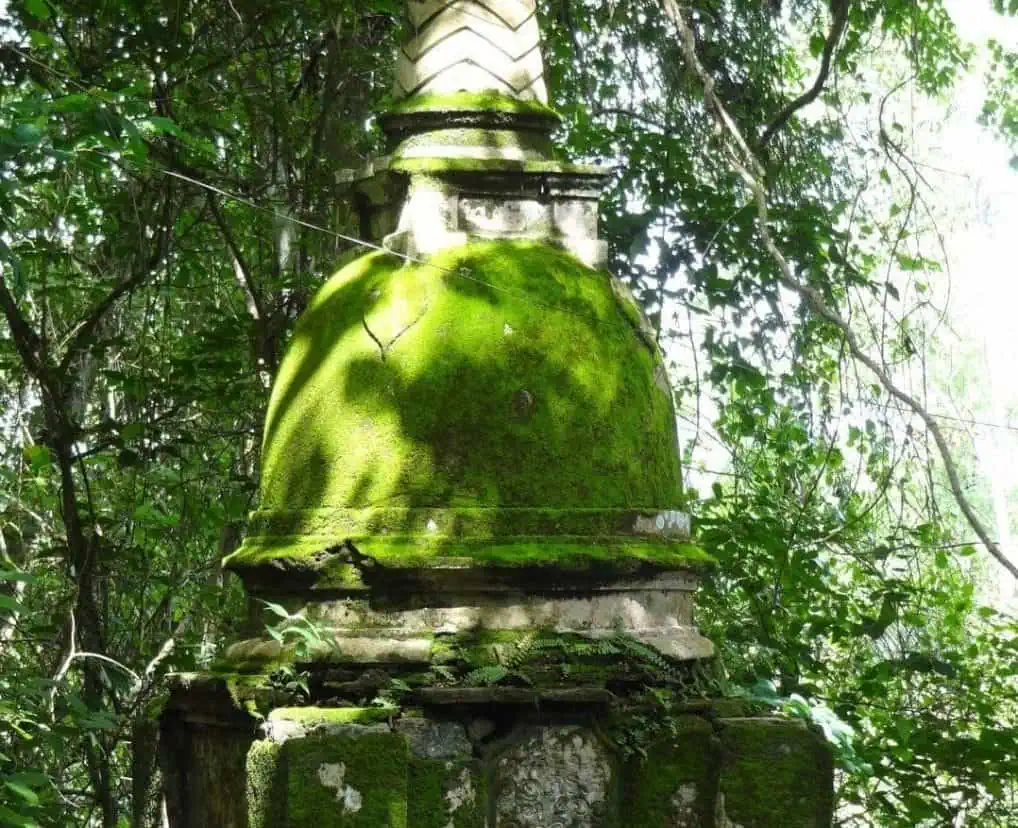 Mulkirigala Moss Covered Stupa Mulkirigala Moss Covered Stupa