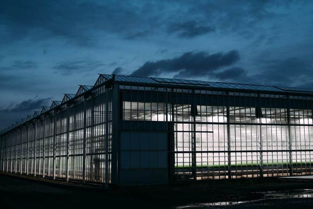 Greenhouse with lights on, cloudy night