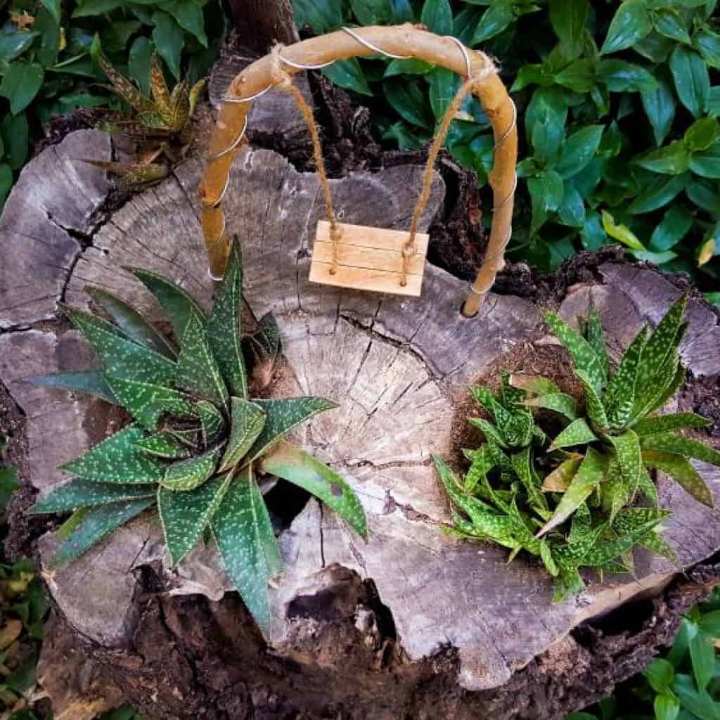 A top down view of the fairy swing on the tree stump succulent planter #treestumpplanter #DIYplanter #fairyswing #DIYTutorial #FairyGardens #SucculentPlanter #HowTo #ACraftyMix