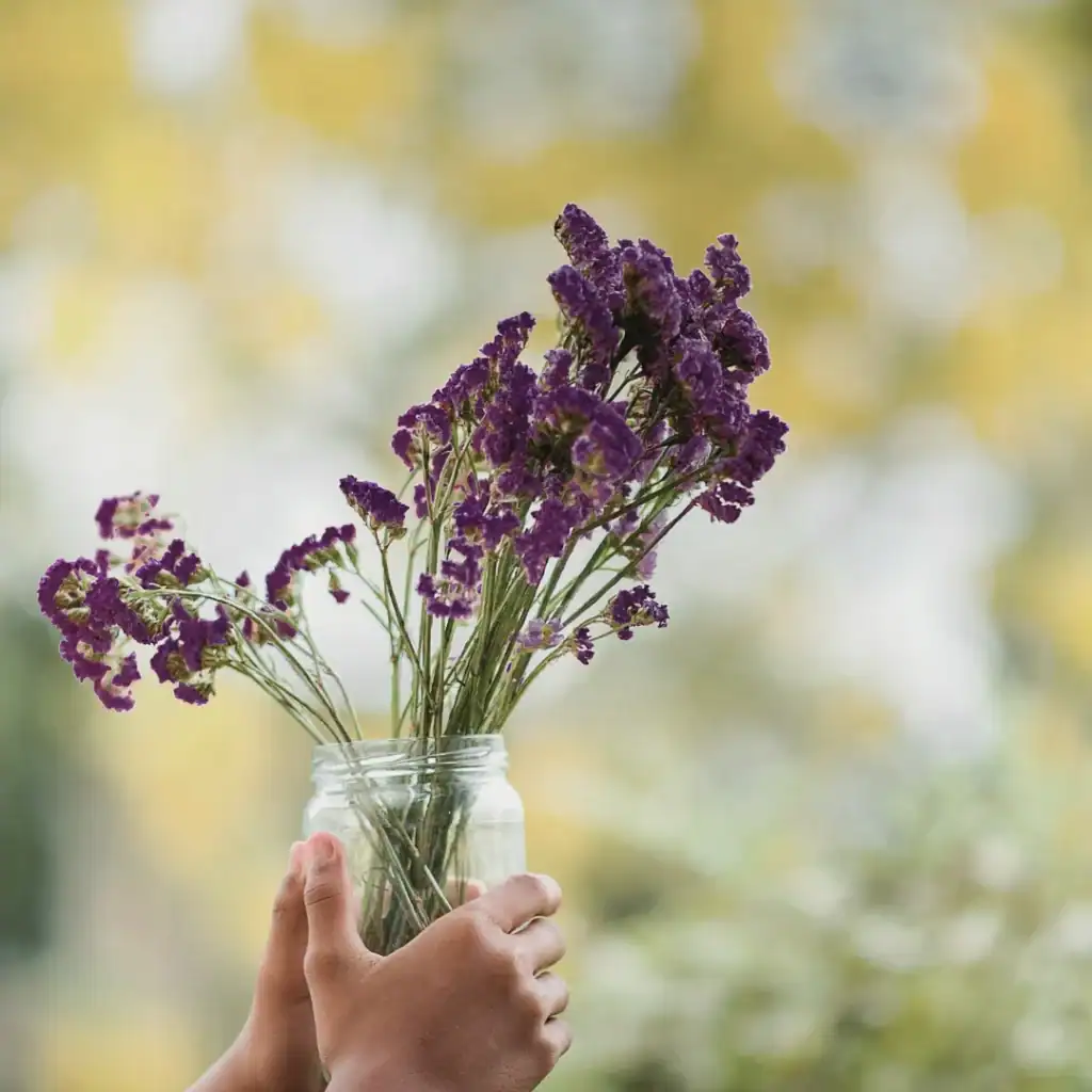 Donate to Hope's Pathway Chatham.