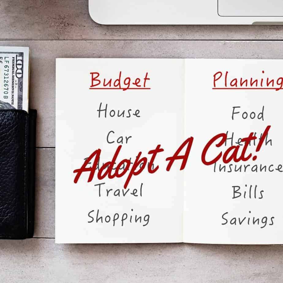 budget categories in a notebook with a wallet and $100 bill