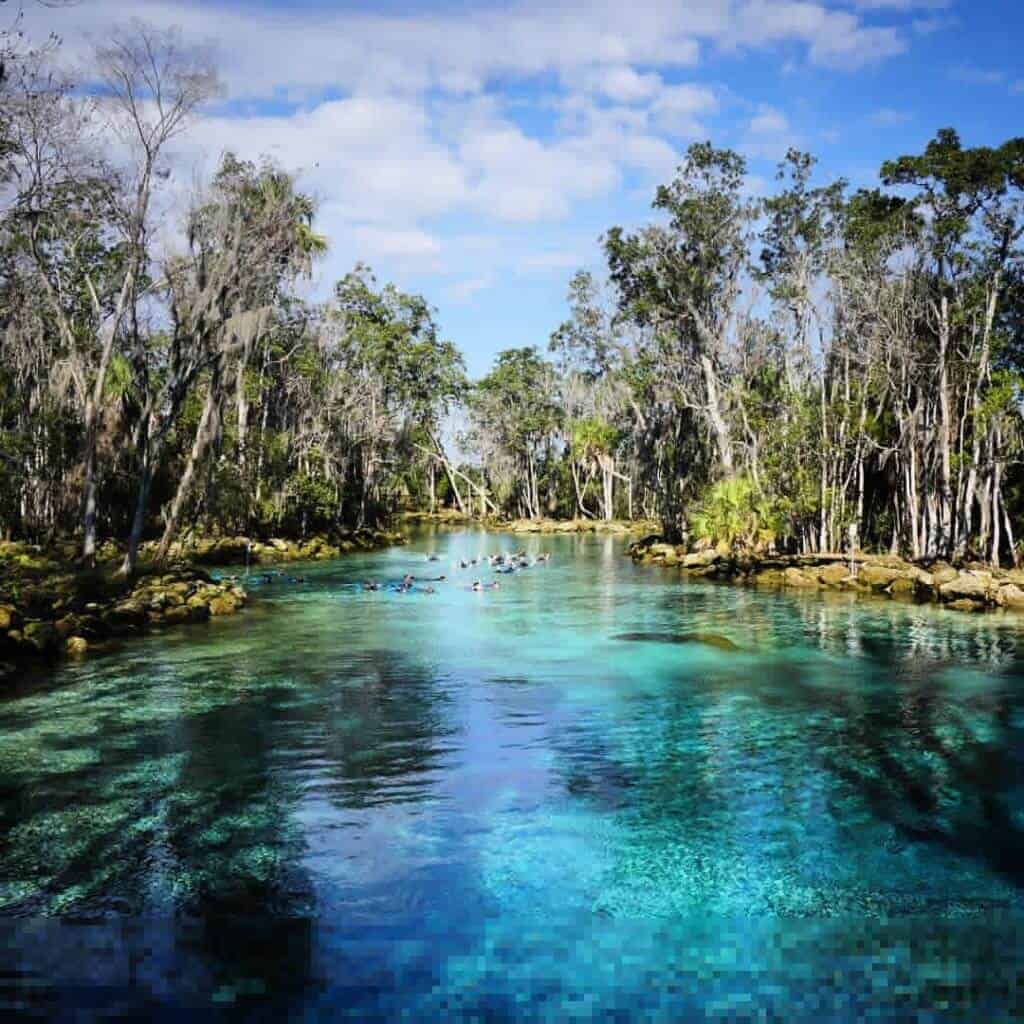 Crystal River Wildlife Refuge