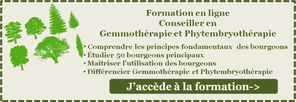 Stress : et si on parlait phytembryothérapie