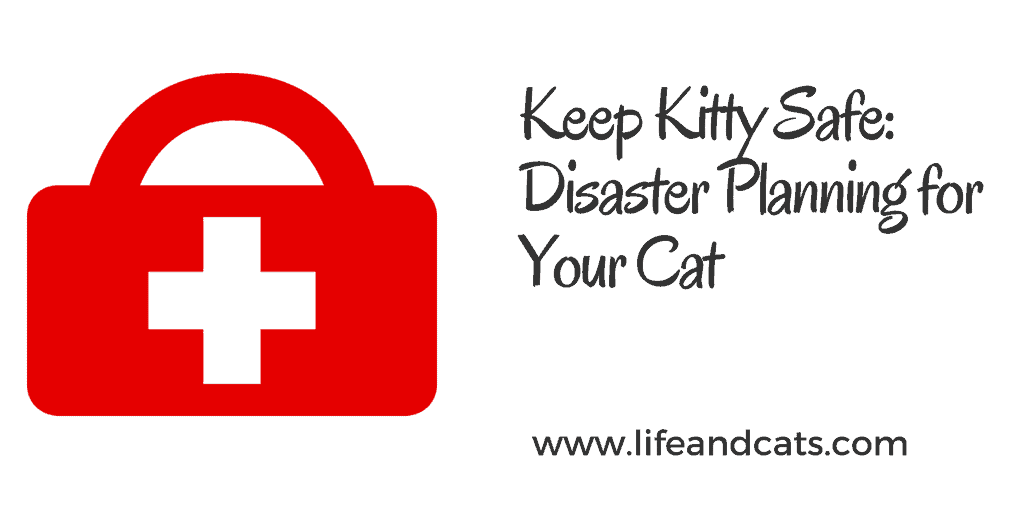 Disaster Planning Header Image