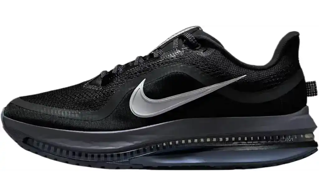 Nike Pegasus series shoes