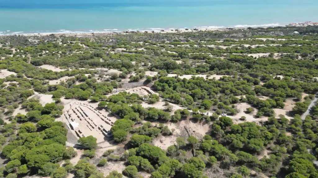 Landschaftsaufnahme der Küstenregion bei Guardamar del Segura mit Dünen, Pinienwald und Mittelmeer im Hintergrund.