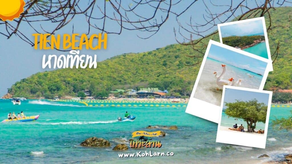 แผนที่เกาะล้าน (Koh Larn Tourist Map) 8 KohLarn.co 2024 08 28T022316.477