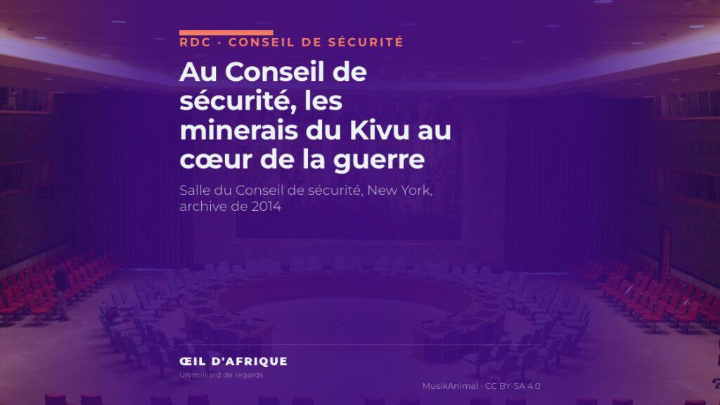 Salle du Conseil de sécurité des Nations unies à New York, où la société civile du Sud-Kivu a décrit la guerre des minerais dans l'Est de la RDC