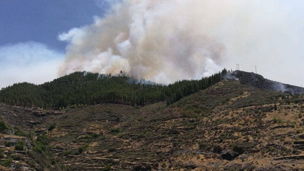 Las llamas consumen los bosques de la Gran Canaria