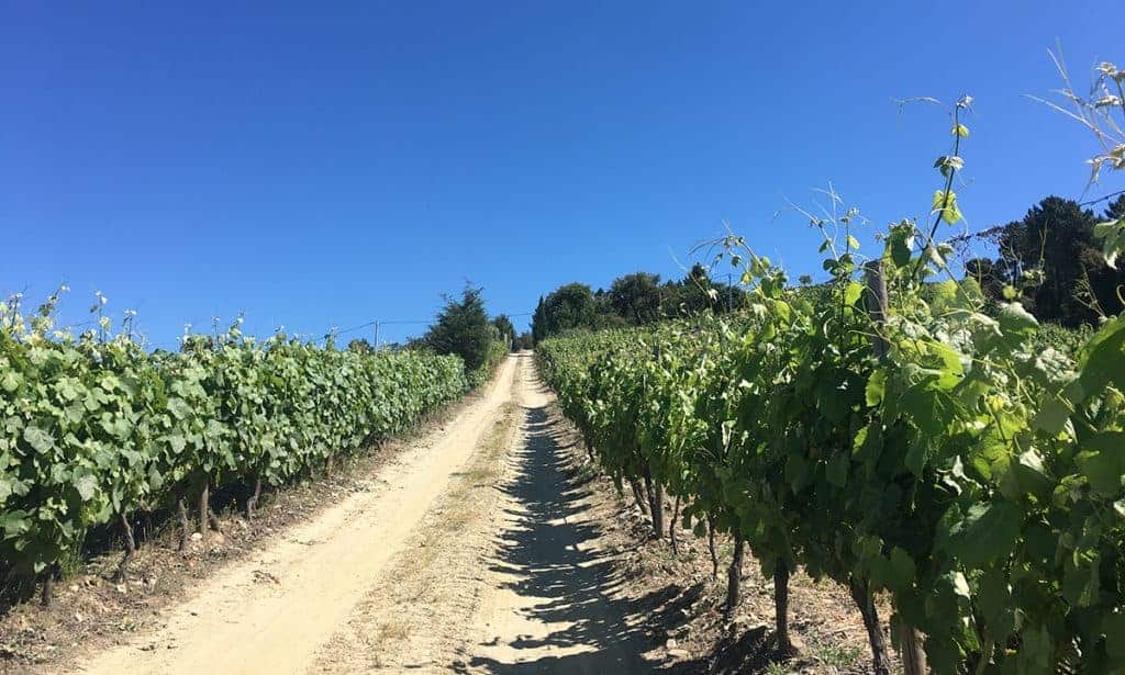 douro valley day trip porto