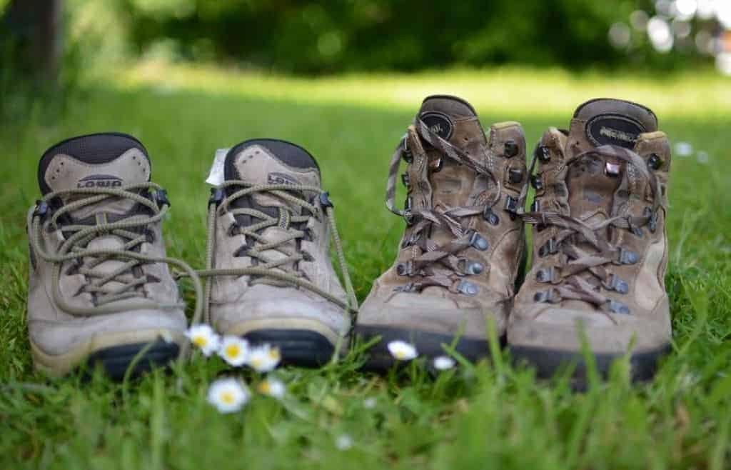 Hiking Shoes On Grass