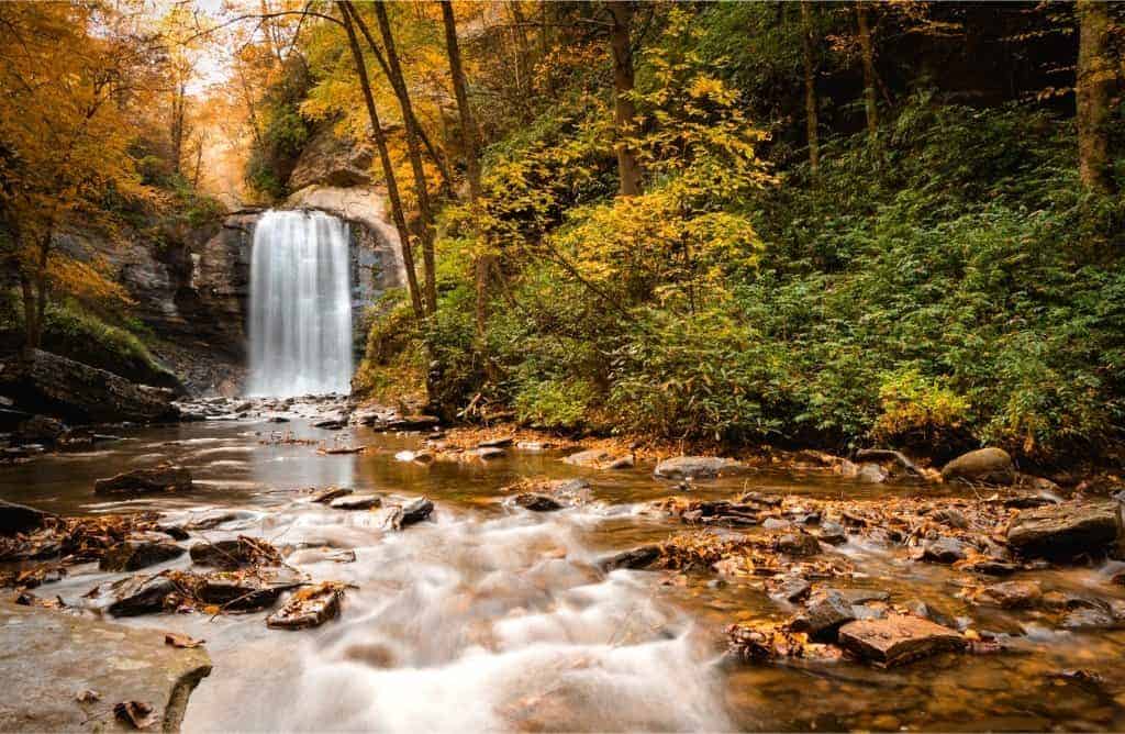 11 Best Asheville Airbnb Top 2024 Picks The Wanderlust Within