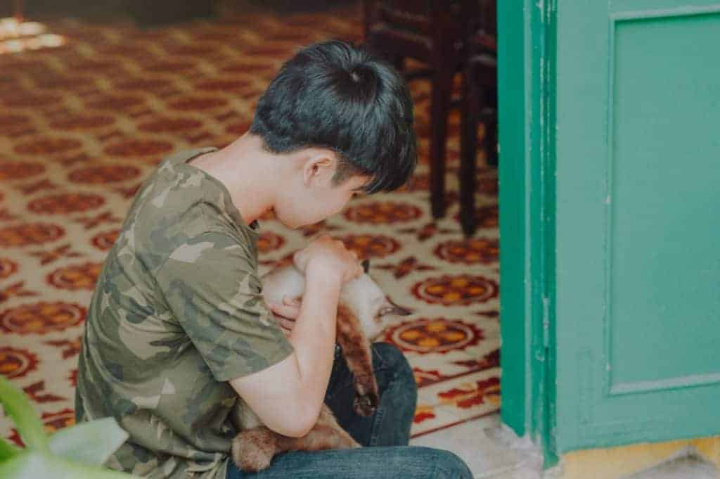 Can Kids and Cats Live Together Safely? 2