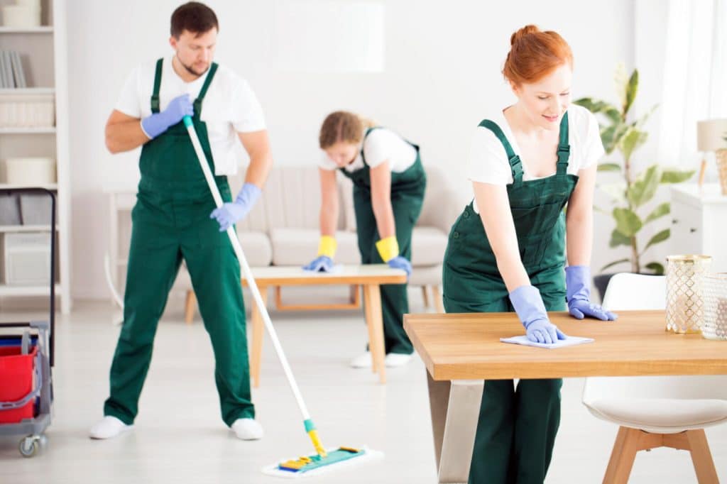professional house cleaners