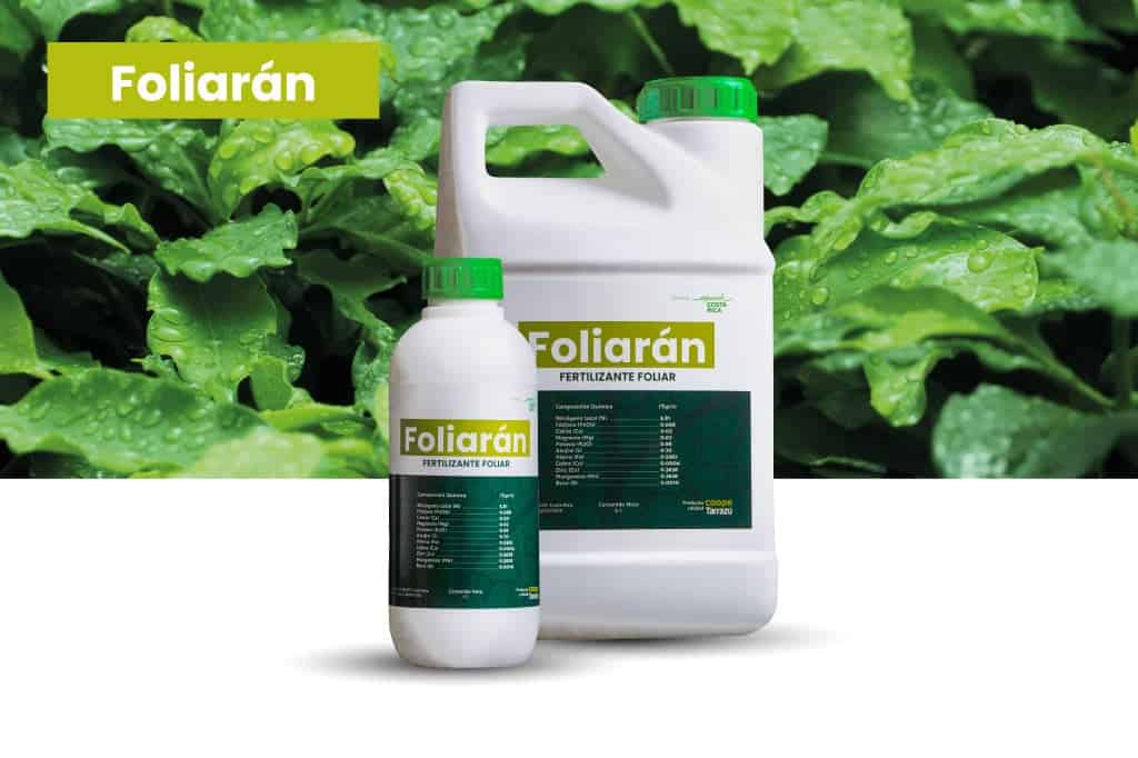 Pagina web l BioInsumos CoopeTarrazu 04