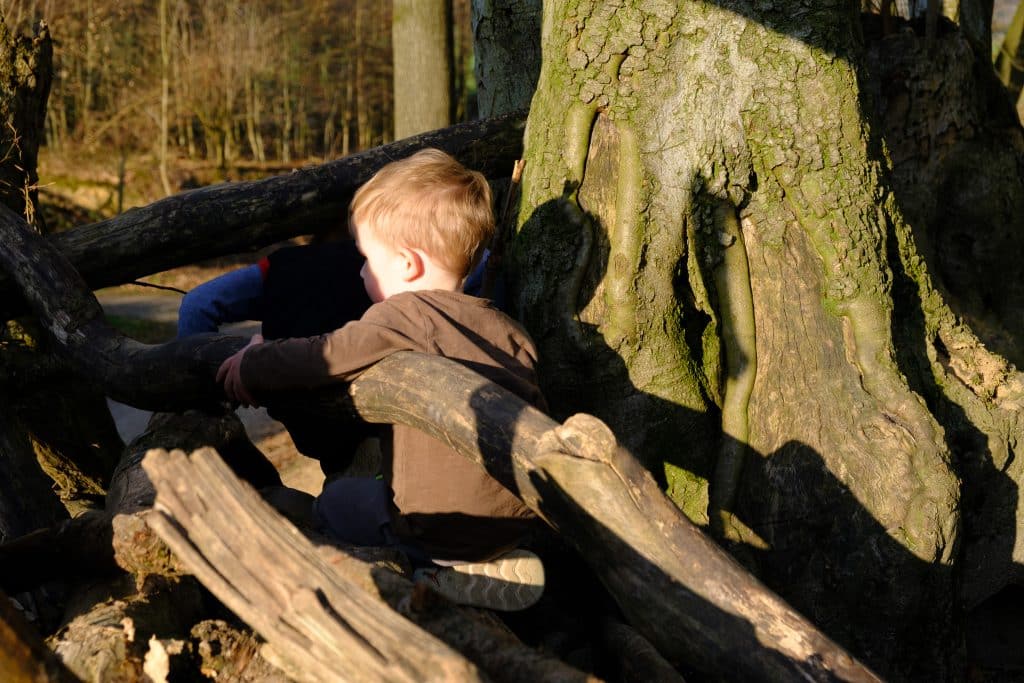 Kinder balancieren auf umgestürztem Baumstamm