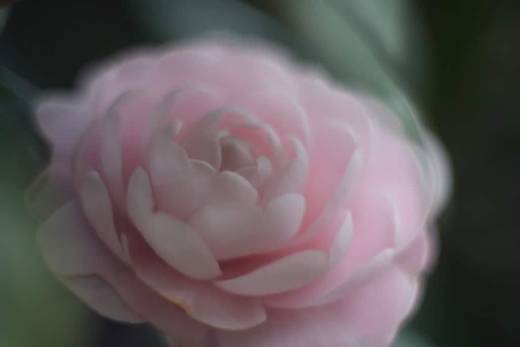 JUPITER9 85mm f.2 M42 ロシア製 LZOS Jupiter-9 85mm f/2 ブラック [M42マウント] – Doppietta-Tokyo