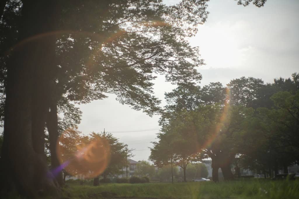 Ricoh Auto Rikenon 50mm f1.7 Review作例 M42マウント富岡光学