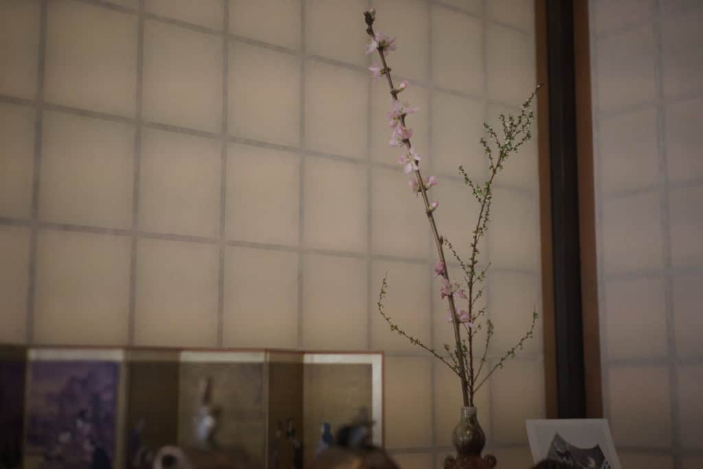 Nikkor-H.C 50mm f2 L39 Review作例 5cm ニコンのライカL