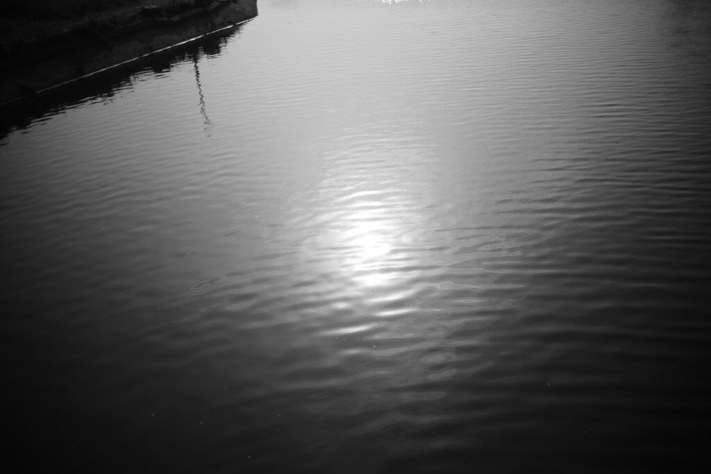 Leitz Summicron 35mm f2 8枚玉 レビュー作例ブログ ライカ伝説