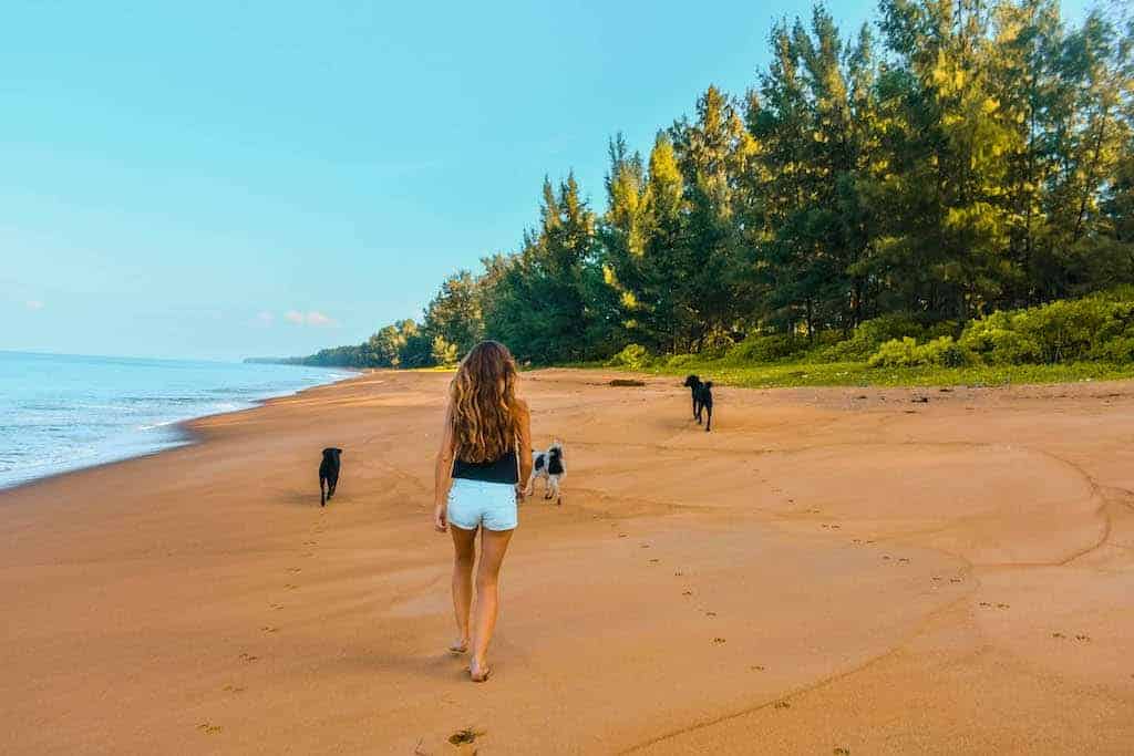 26 Beautiful Islands in Asia to Add to Your Bucket List 2024 10 girl walks down a clean golden sand beach with 3 dogs in Phuket in Thailand away from the crowds of this asian island country
