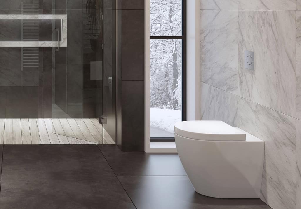 toilet types wall faced toilets with in-wall cistern