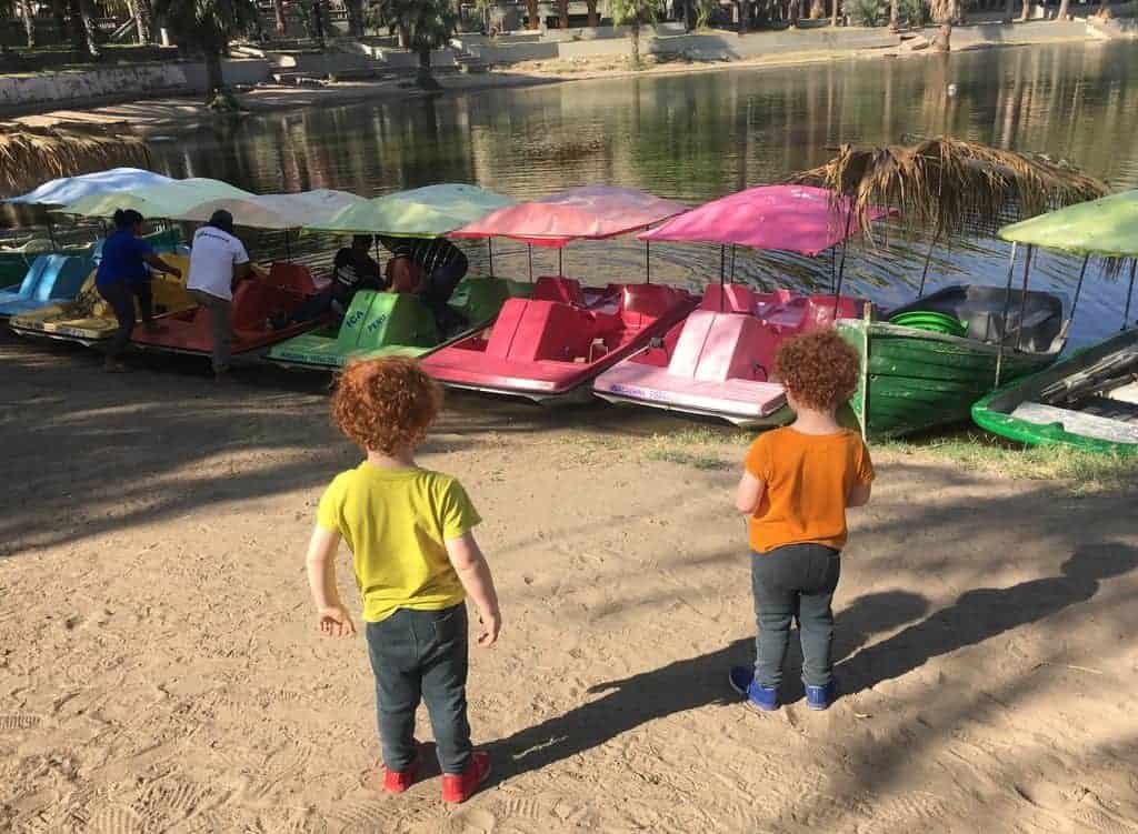 Huacachina oasis: you can rent pedal boat or rowing boat by the lagoon for jus 20 soles per half an hour