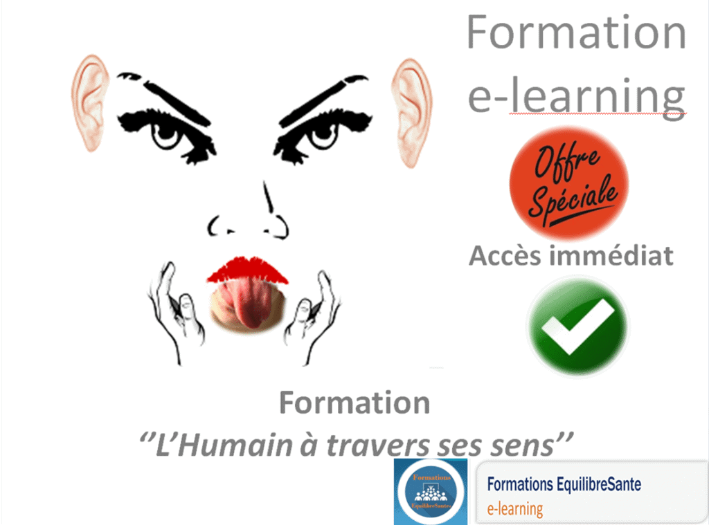 Formation les sens du corps humain